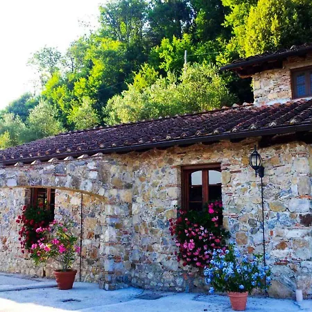 Villa Armonia Borgo a Mozzano Exterior photo